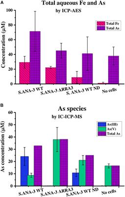 Dissimilatory Fe(III) Reduction Controls on Arsenic Mobilization: A Combined Biogeochemical and NanoSIMS Imaging Approach